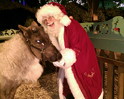 Santa06