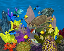 Coral01