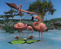 Flamingo01