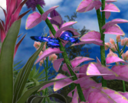 Flower01