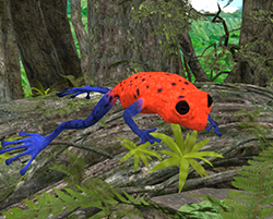 Frog