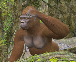 Gorilla01