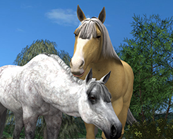 Horse02