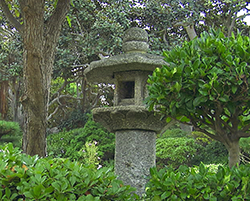 Lantern01