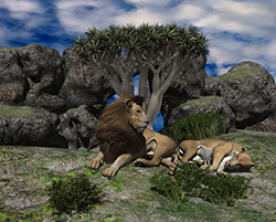 Lion01