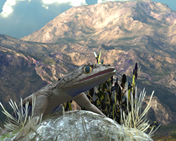Lizard01
