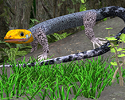 Lizard02