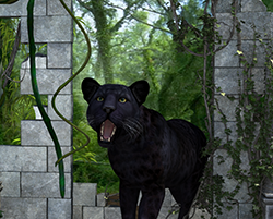 Panther01