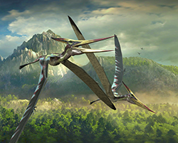 Pteranodon01