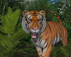 Tiger02