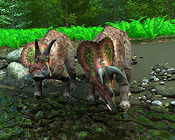 Triceratops01